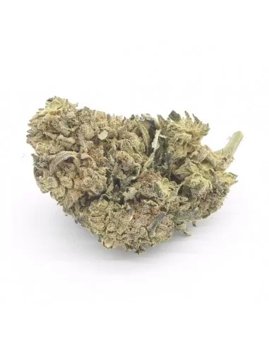 double cheese infiorescenza