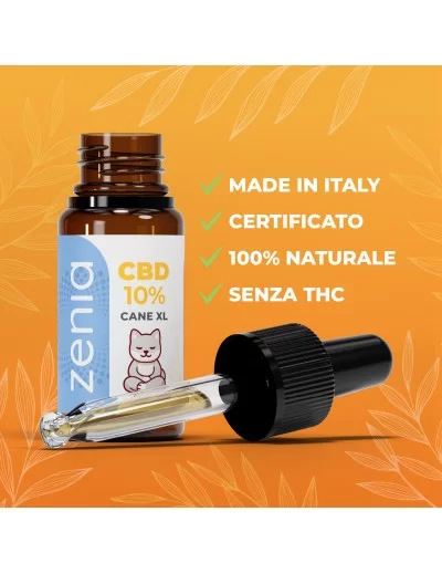 Zenia Olio CBD 10% Cane XL 2