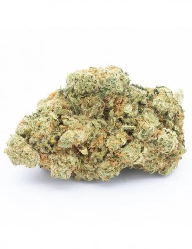 AK47 Indoor infiorescenze